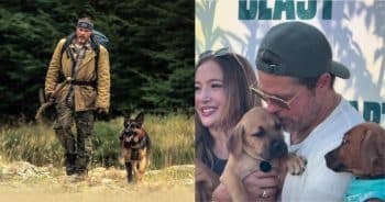 Brad Pitt Reveals His Pack Has Grown and Explains Why Dogs Make Life Better