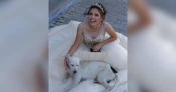 Street Dog Wanders Into a Quinceañera Photo Shoot and Finds His Place