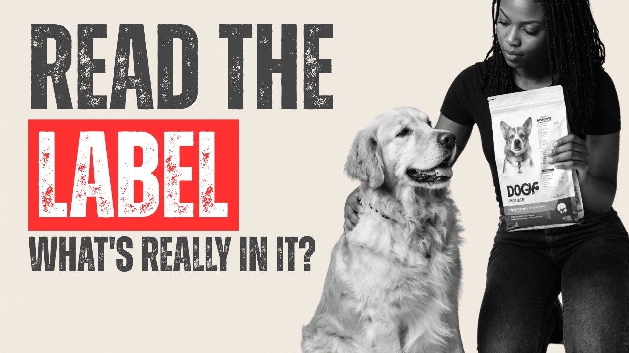 Video: How to Read a Dog Food Label (What Actually Matters)
