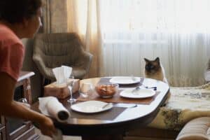 9 Things Your Cat Wishes You Understood About Them