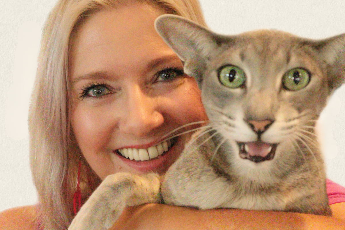CatCrazy Creator Petra Luna Receives Four Certificates of Excellence for Cat-Focused Video Work
