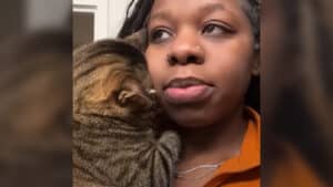 Woman Prays for an Affectionate Man and Gets a Clingy Cat