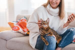 Study Finds Cat Owners Feel Happier When Cats Stay Close