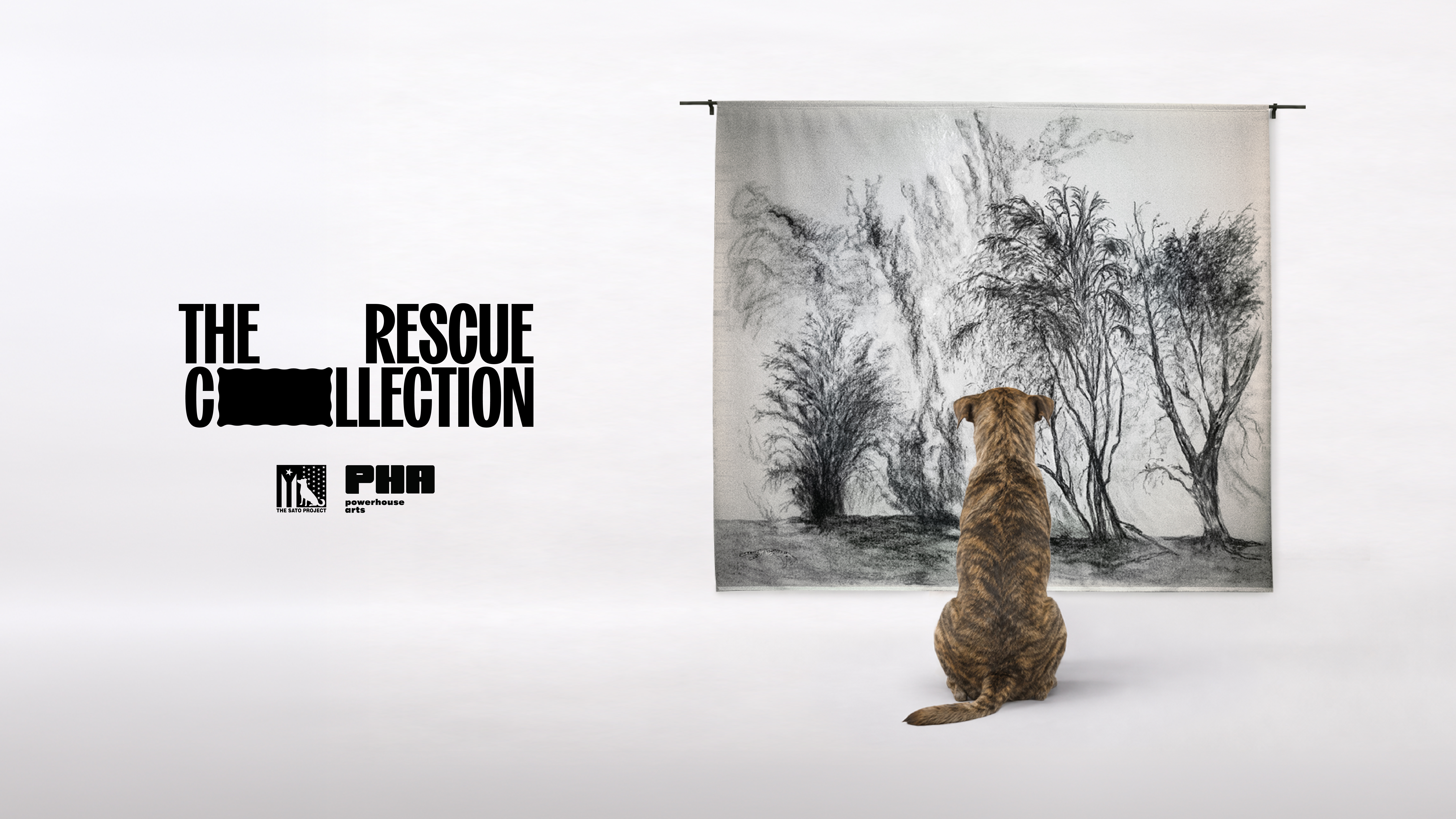 When Art Meets Animal Rescue: A Creative Way to Help Dogs Find Homes
